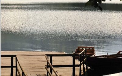 Safe Summers Start Here: A Cottage Owner’s Guide